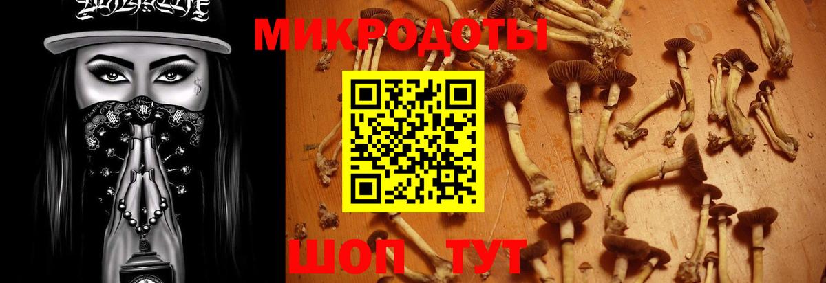Псилоцибиновые грибы MAGIC MUSHROOMS  Вход с VPN  Каменск-Уральский 